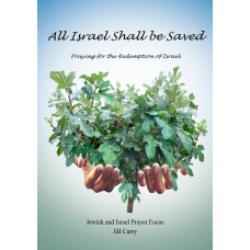 Jewish and Israel Prayer Focus - Book - 2020 - MULTIPLE COPIES